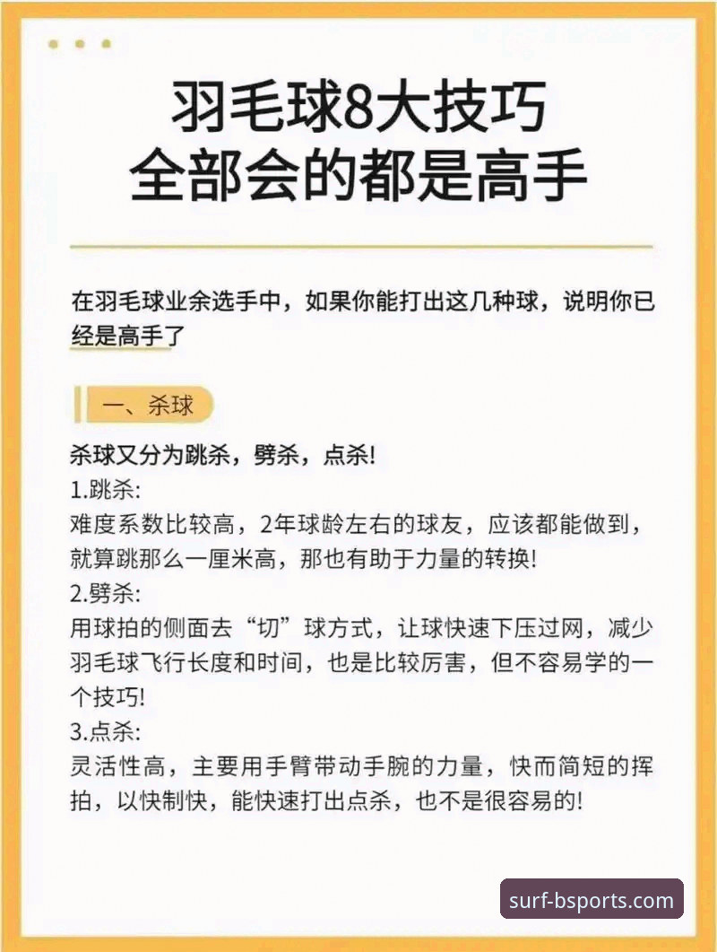 B体育官网实用指南：从新手到高手的必备更新技巧